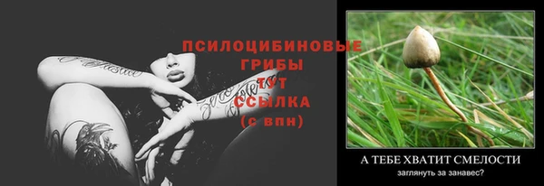 каннабис Вяземский