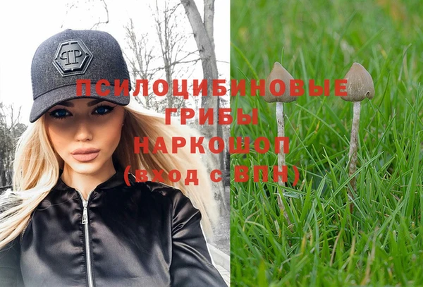 каннабис Вяземский