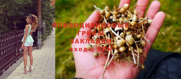каннабис Вязьма